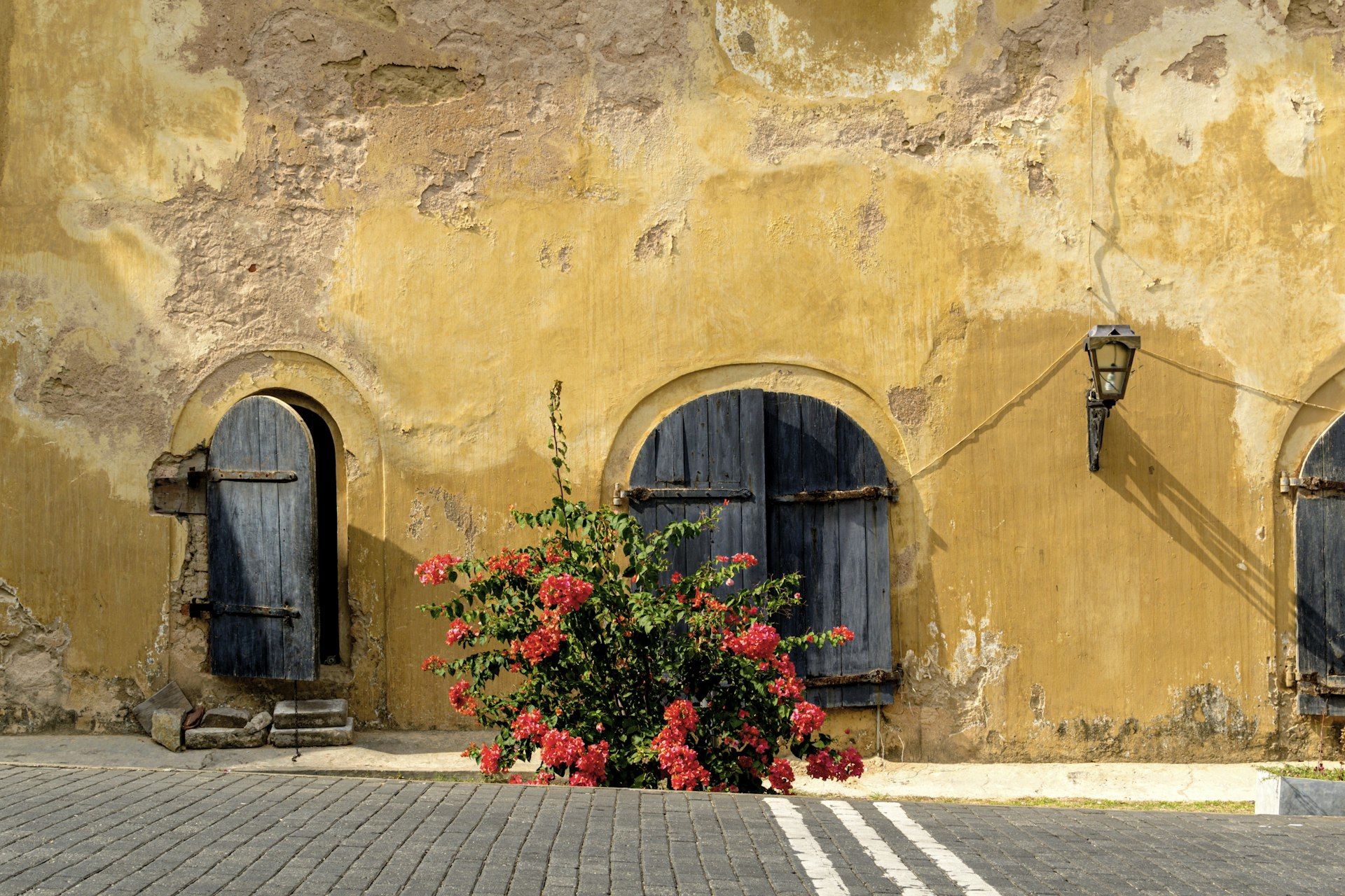 An ochre wall with blue arched doors in Galle Fort
